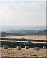 SW5531 : Straw bales at St Hilary by Rod Allday