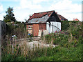 Dilapidated shed in back garden