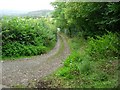 Farm track  at Cefn-gwenthrew