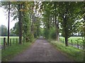 Tree-lined track, Powfoulis