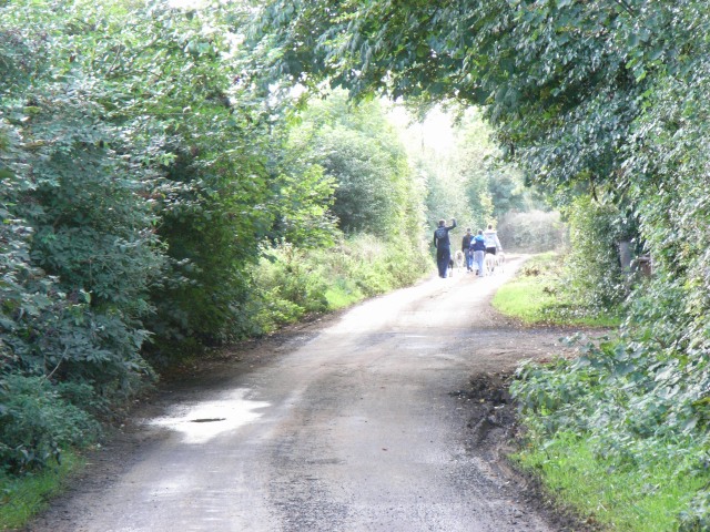Backroad near Trim, Co. Meath