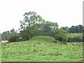 N8356 : Motte at Scurlockstown, near Trim, Co. Meath by JP