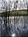 NT5132 : Flooding on Cauldshiels Loch by Iain Lees