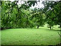 Field near Little Whiffetts