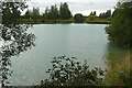 Fishing lake near Ufton Wood