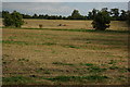 Straw baling, Southwick Park