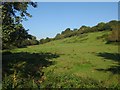 Rixdale valley, Luton