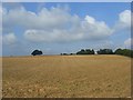 Farmland, Banbury