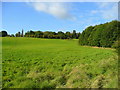 View south-west from Flaunden Bottom