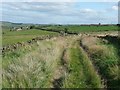 Wren Nest Road, Soyland