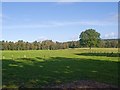 Fields east of Acres Down