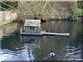 Floating home for ducks and associates