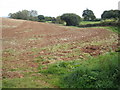 Fields, above Staplake Mount