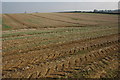 Harvested field, near Ascott d