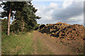 Bridleway near Barton Stud