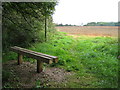 Water End: Footpath to Welham Green