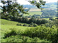 Fields near Cadeleigh