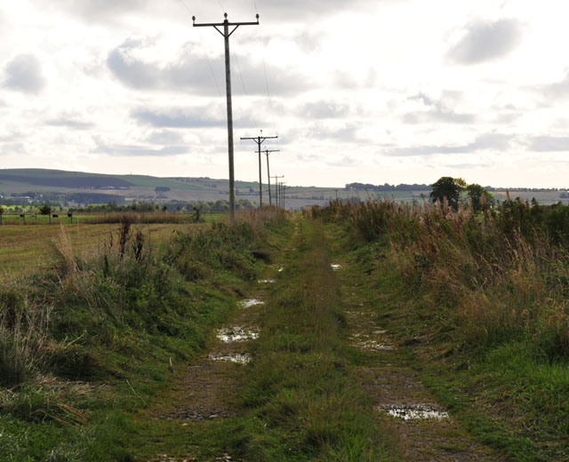 Overgrowing farm track