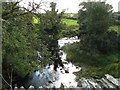 Afon Alaw below Pont Hafren bridge