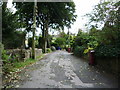 Chapels Lane, Tockholes