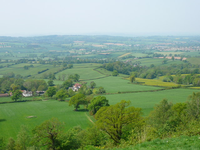 View from White Cross to Ottery St Mary