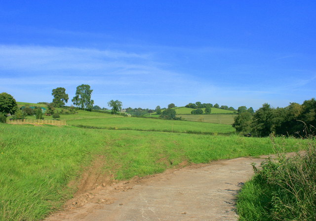 2008 : Entrance to Withy Mills Farm