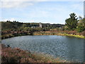 Pond in Bissoe Valley Nature Reserve