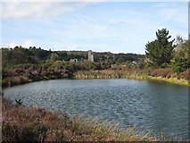 SW7741 : Pond in Bissoe Valley Nature Reserve by Rod Allday