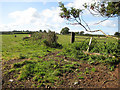 Pastures near Upperfield Farm