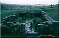 NY8571 : Temple of Mithras near Brocolitia Roman Fort by Sarah Charlesworth