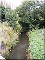 Stream at Low Laithes