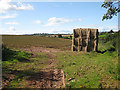 Haystack in a potato field