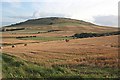 Looking Towards the Hill of Tillymorgan