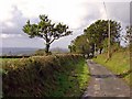 Lane near Argoed, Llanfair Treflygen