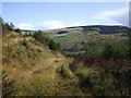 Looking down on Glyncorrwg