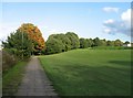 Cyclepath & autumn colours