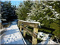 Snow covered boardwalk