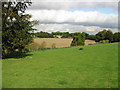 View across the fields towards Nonington