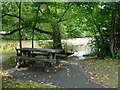 Shady picnic table