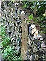 Detail of a wall alongside a footpath from The Row