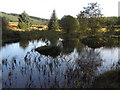 NY5481 : Pond beside the Blacklyne by David Liddle