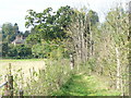 Footpath to West Clandon Church