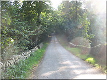 SH3384 : Country road past Llynnon Hall by Eric Jones