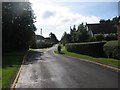 Herington Grove from Mount Avenue