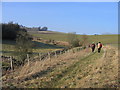 Walkers welcomed near Kirriemuir