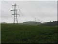 The march of the pylons at Birkhill