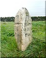 Milestone, Greetland Road B6113, Barkisland