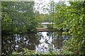 View across the canal to the south reservoir (Compstall Lodge), Etherow Country Park