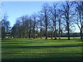 Rothamsted Park