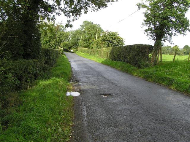 Road at Beltany